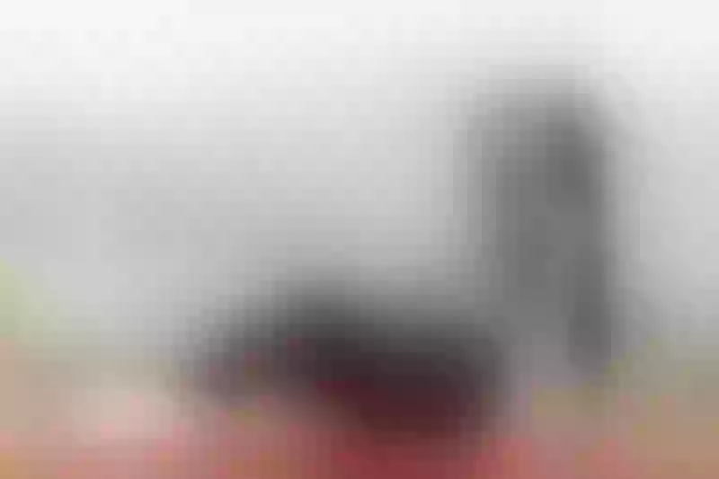 Live sex webcam photo for amatistasmith #7311199