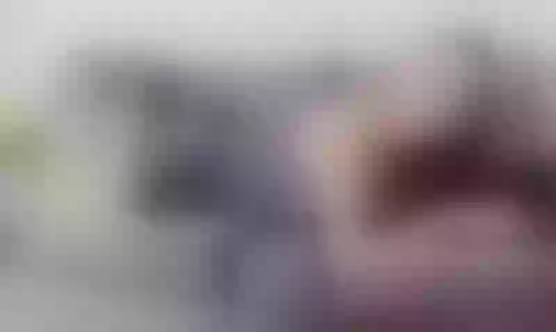 Live sex webcam photo for AngelBaud #6062183