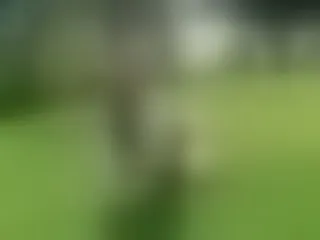 Live sex webcam photo for dannacastle19 #6211623