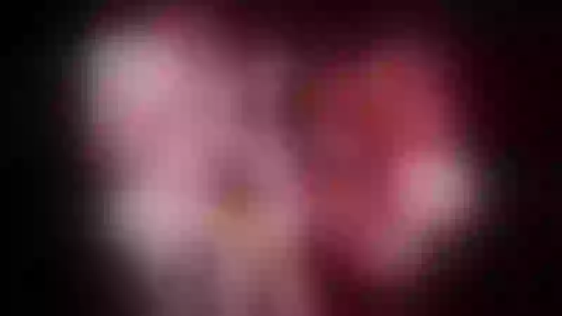 Live sex webcam photo for LarraTyler #6076893