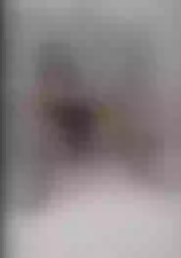 Live sex webcam photo for roxysmeet #6016103
