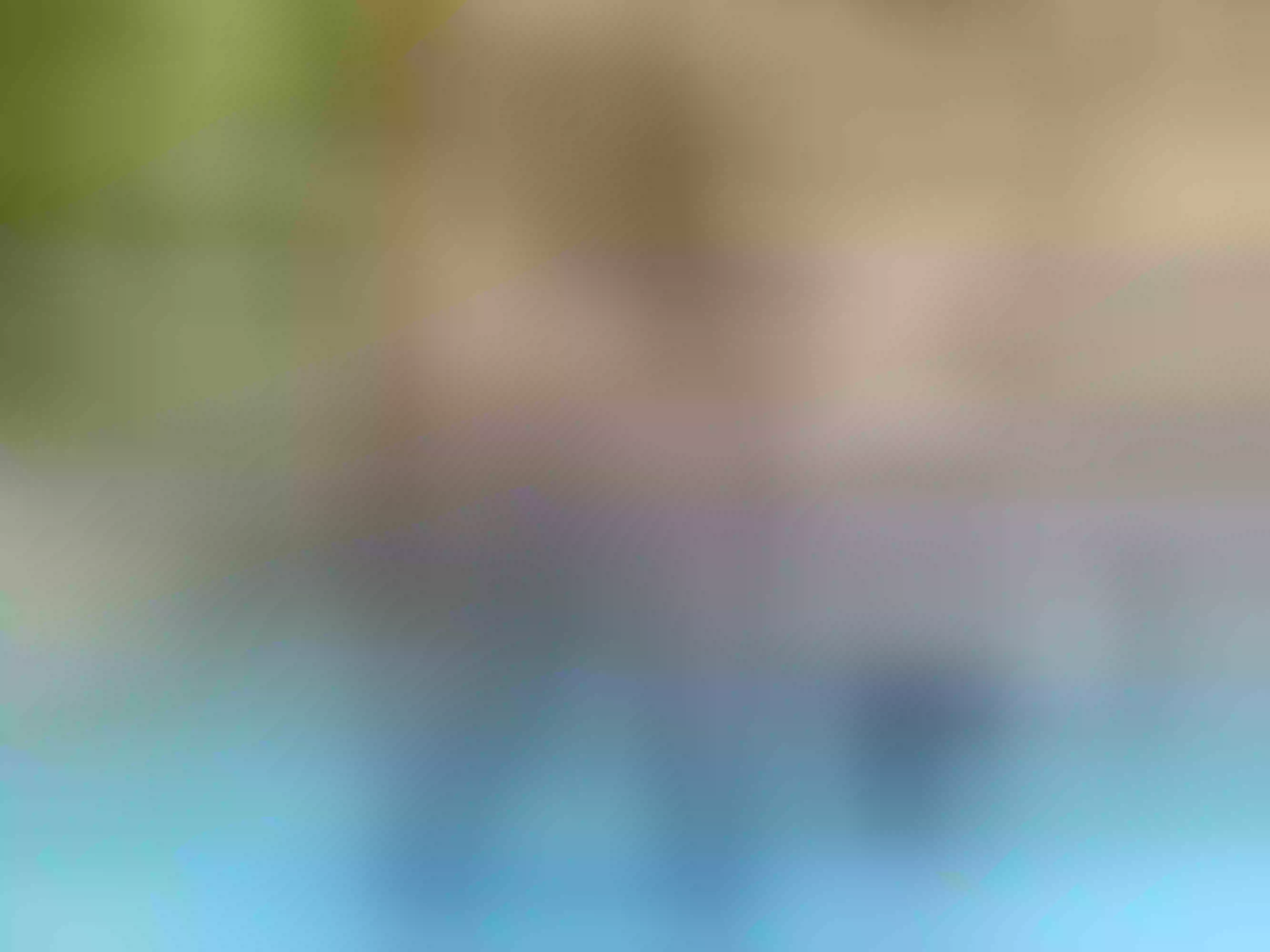 Live sex webcam photo for BrianaJenkins #5962722