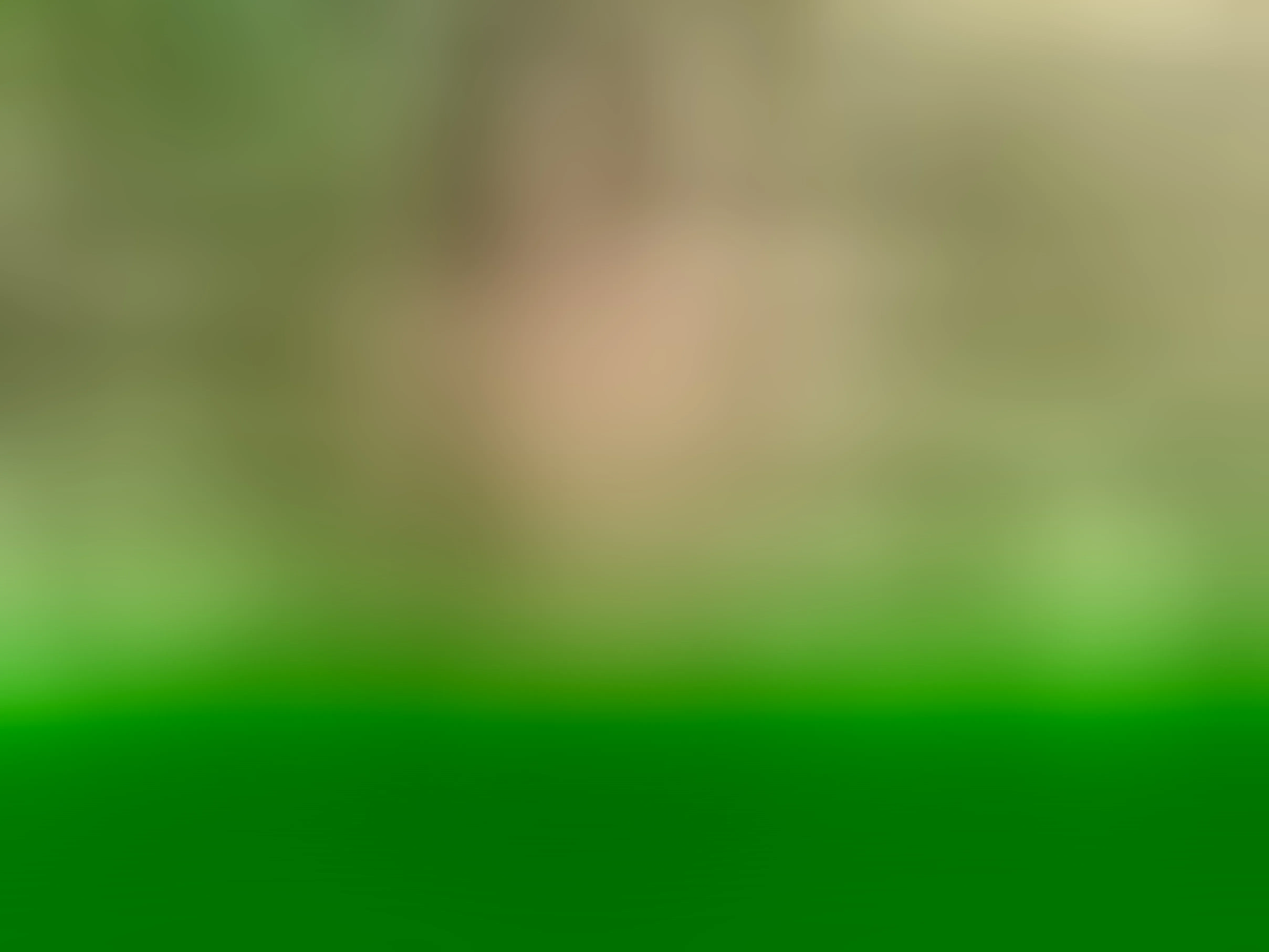 Live sex webcam photo for AubrreyJeewel #5967552
