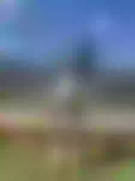 Live sex webcam photo for NiniThomson #7298387