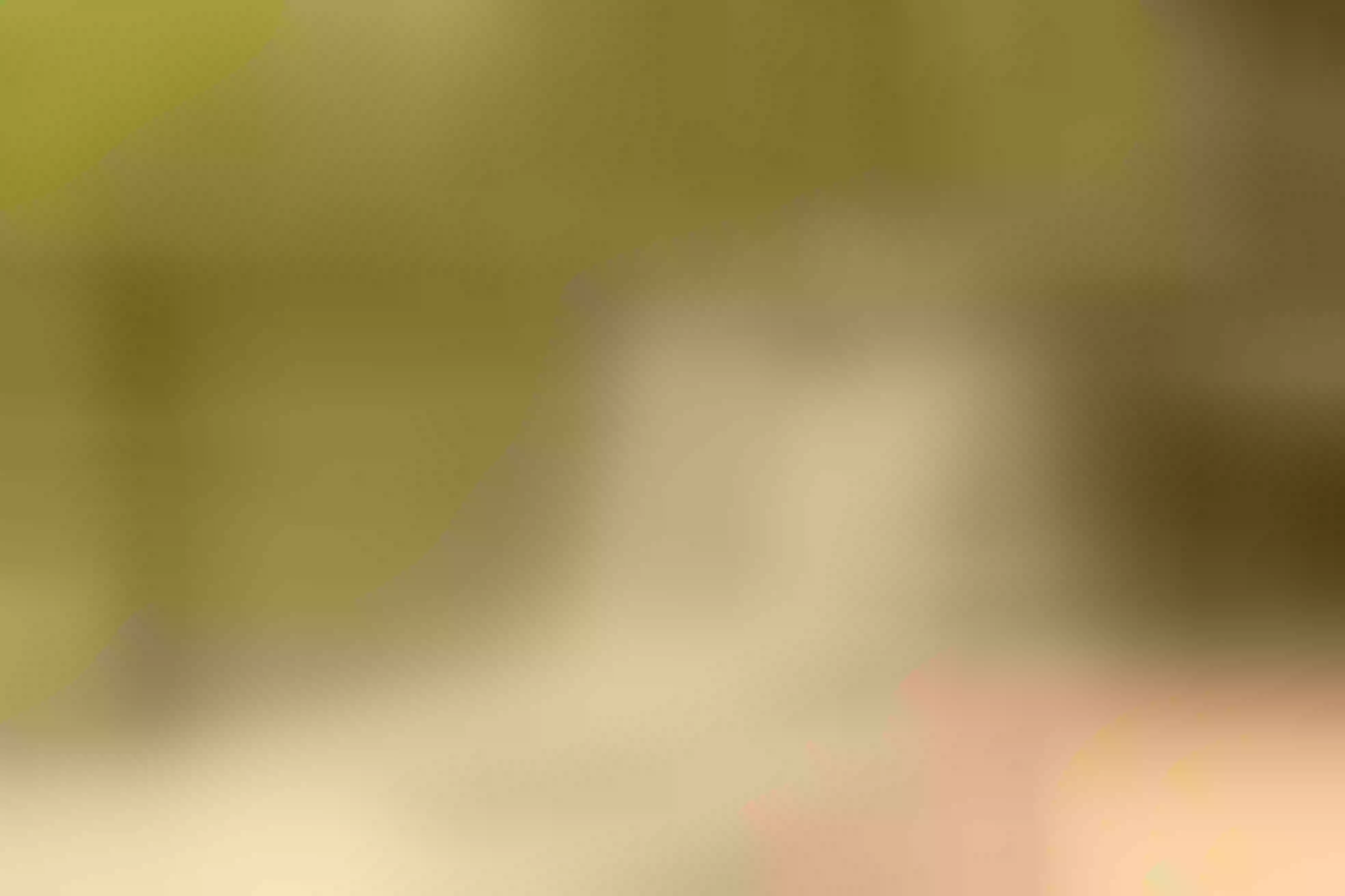 Live sex webcam photo for NiniThomson #8156699