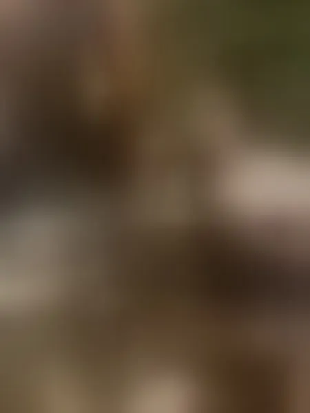 Live sex webcam photo for NiniThomson #7298383