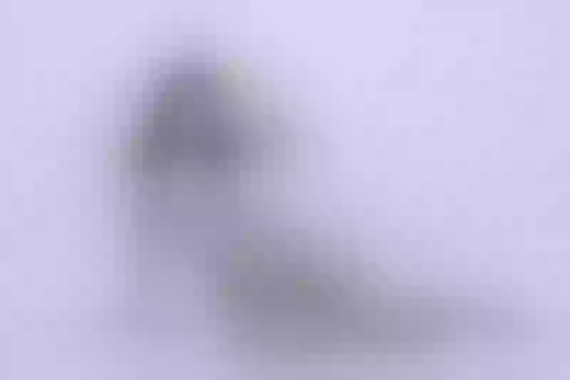 Live sex webcam photo for CelineBennett #6334142