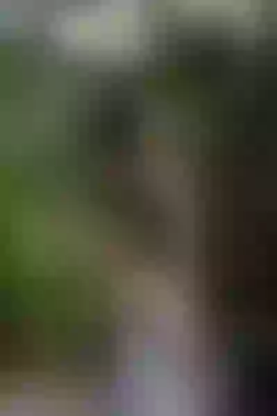 Live sex webcam photo for LolliMyDream #7831608