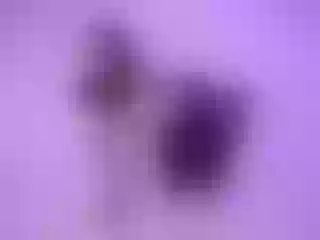 Live sex webcam photo for SiennaMilerr #6204649