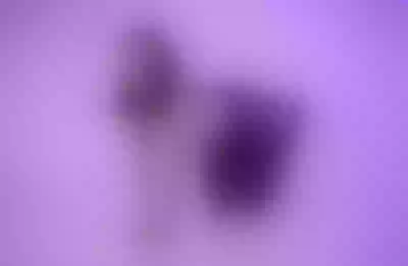 Live sex webcam photo for SiennaMilerr #6204657