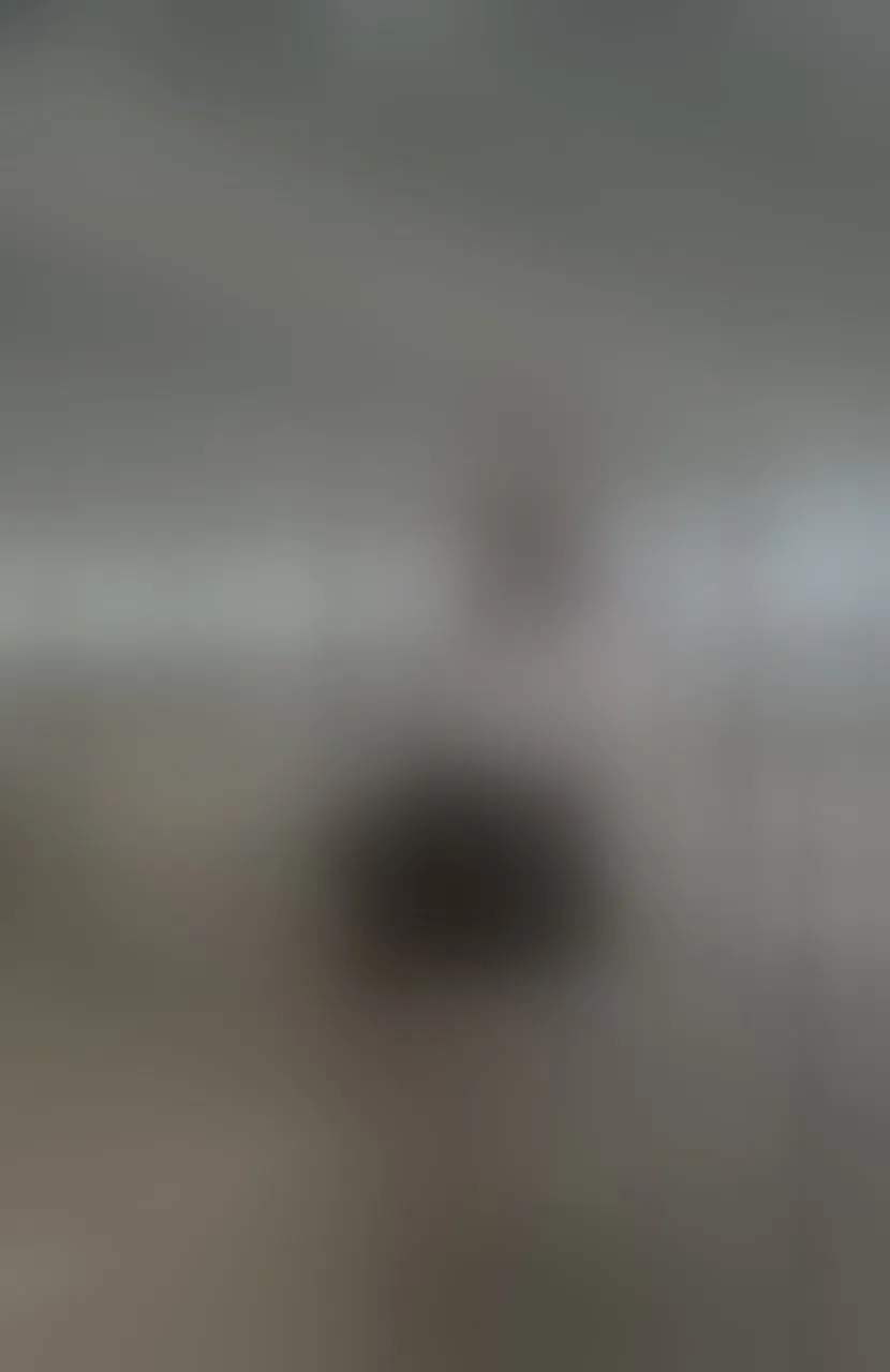 Live sex webcam photo for CarolinaDia #8544793