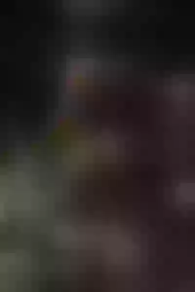 Live sex webcam photo for ScarletWood #6017524