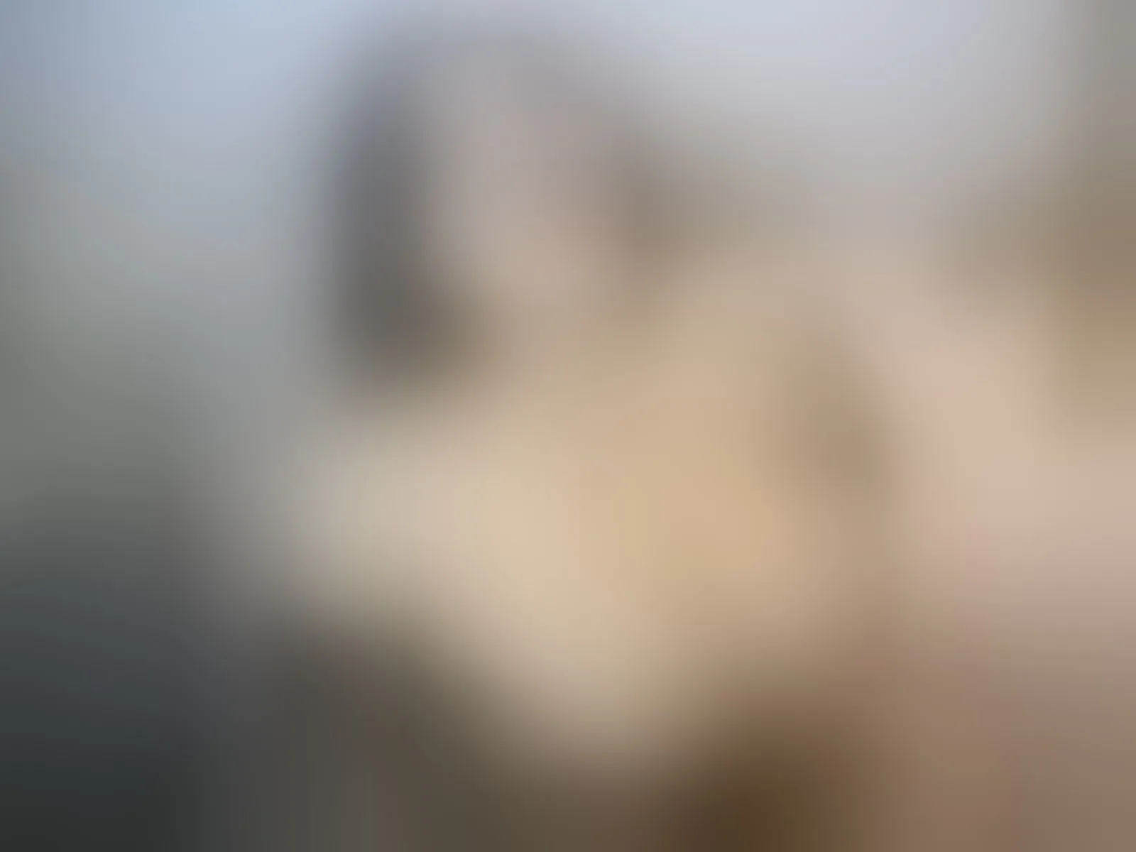 Live sex webcam photo for CarolineHardmann #8359193