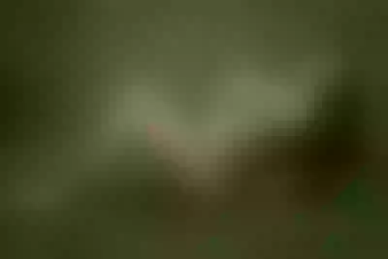 Live sex webcam photo for TracyMcCal #6364901