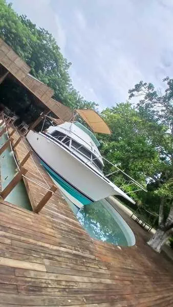 Live sex webcam photo for Kattewilliamms #6994651