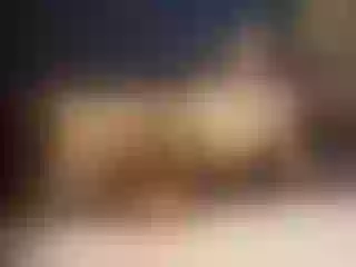 Live sex webcam photo for SophieCarther #5979498