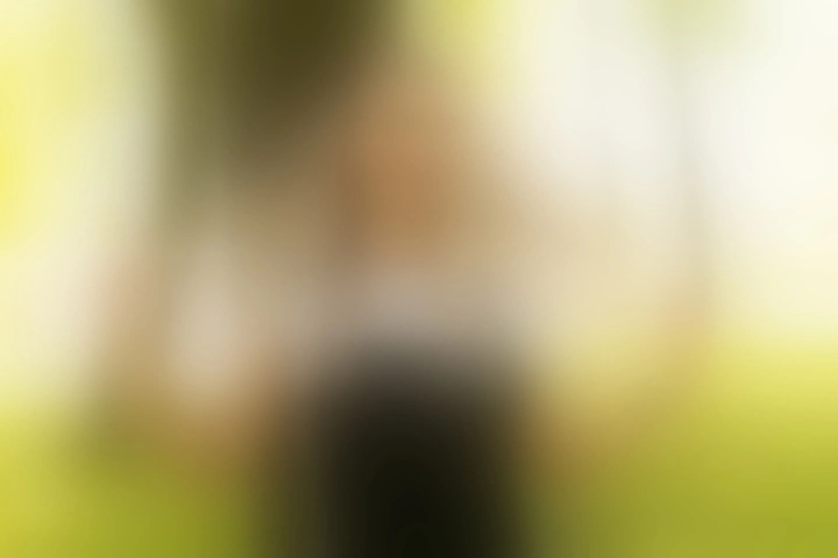 Live sex webcam photo for SashaRizz #7828494