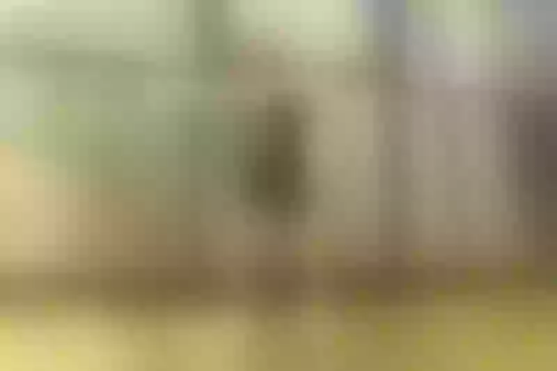 Live sex webcam photo for SashaRizz #7828529