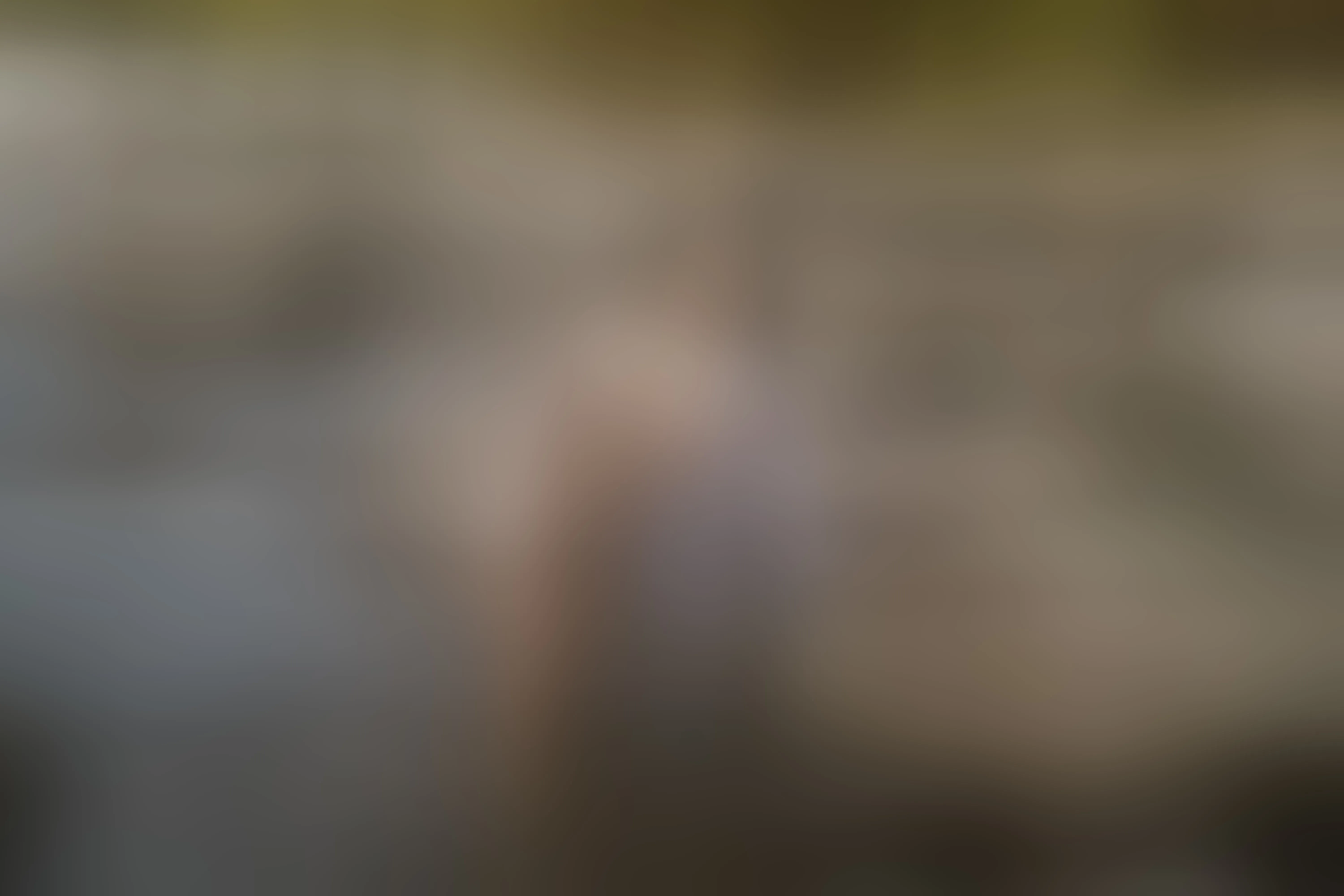 Live sex webcam photo for AbbyBlakeee #7776134