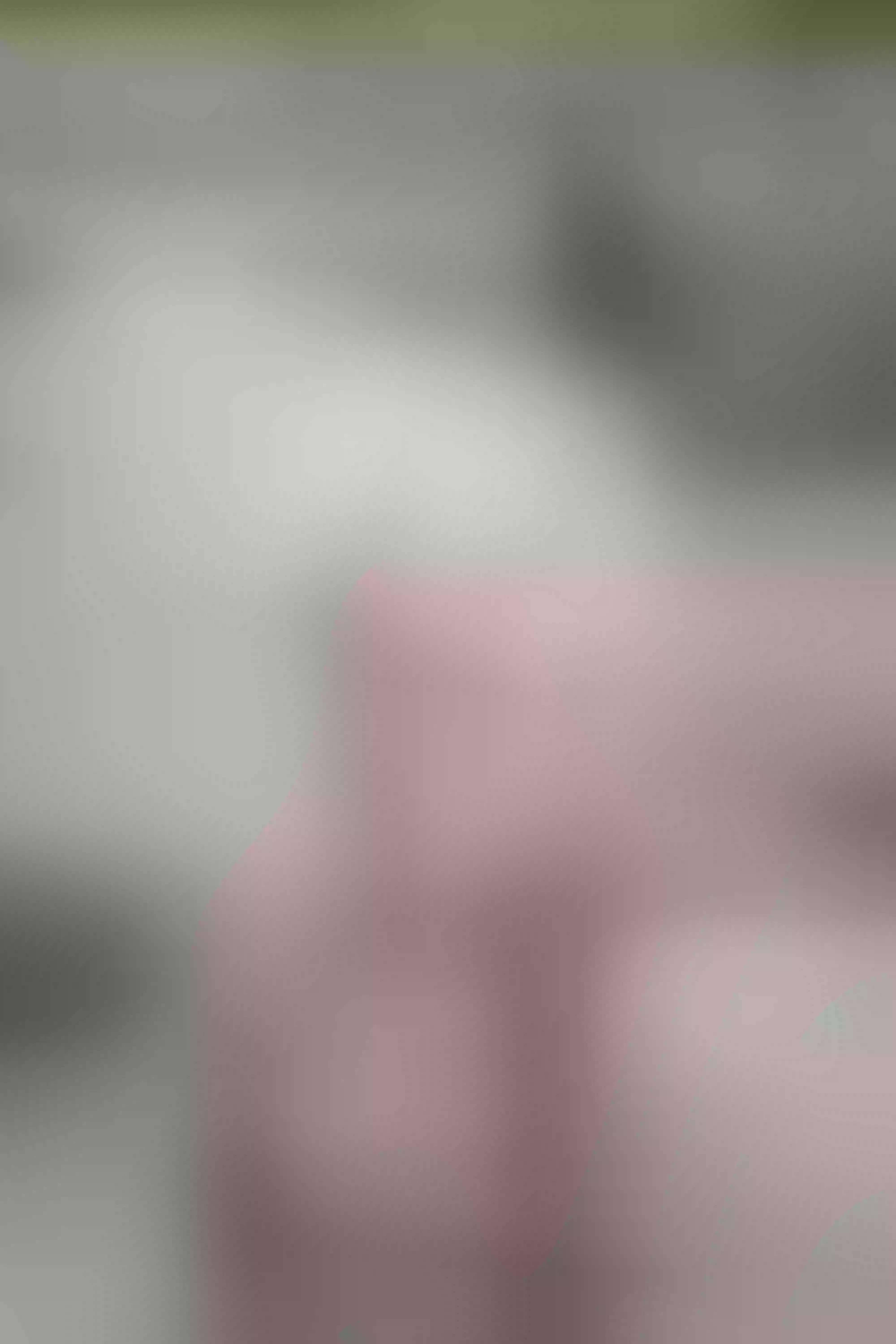 Live sex webcam photo for AbbyBlakeee #7776161