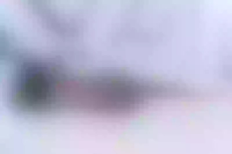 Live sex webcam photo for MadisonSteward #6182749