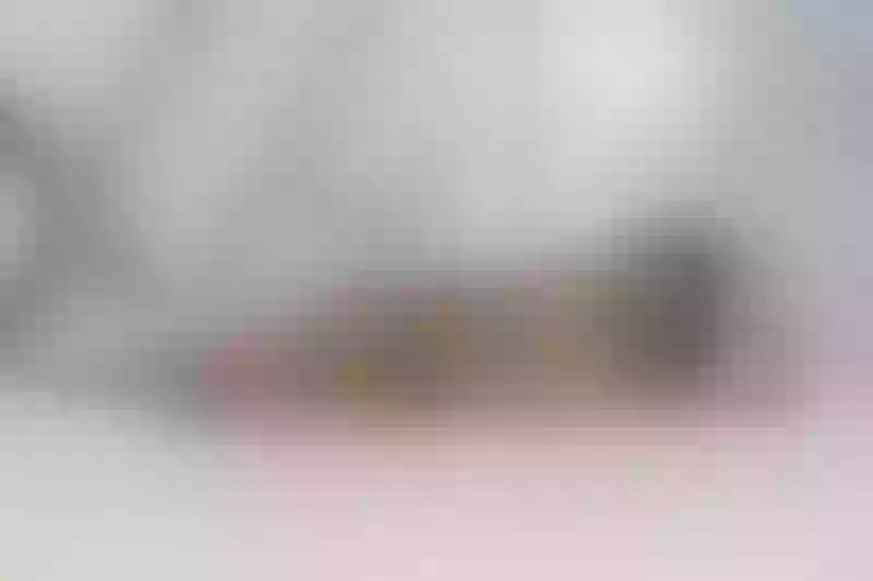 Live sex webcam photo for MadisonSteward #6182748