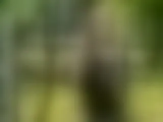 Live sex webcam photo for LaraWinters #8219593