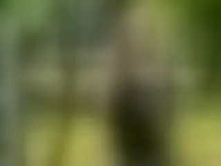 Live sex webcam photo for LaraWinters #8501372