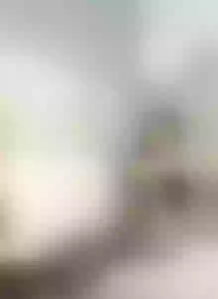 Live sex webcam photo for SofiaClaws #6286430
