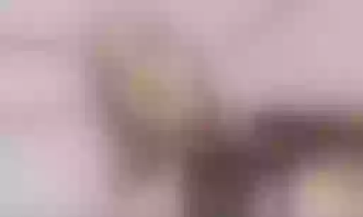 Live sex webcam photo for TayzonFox #7851382
