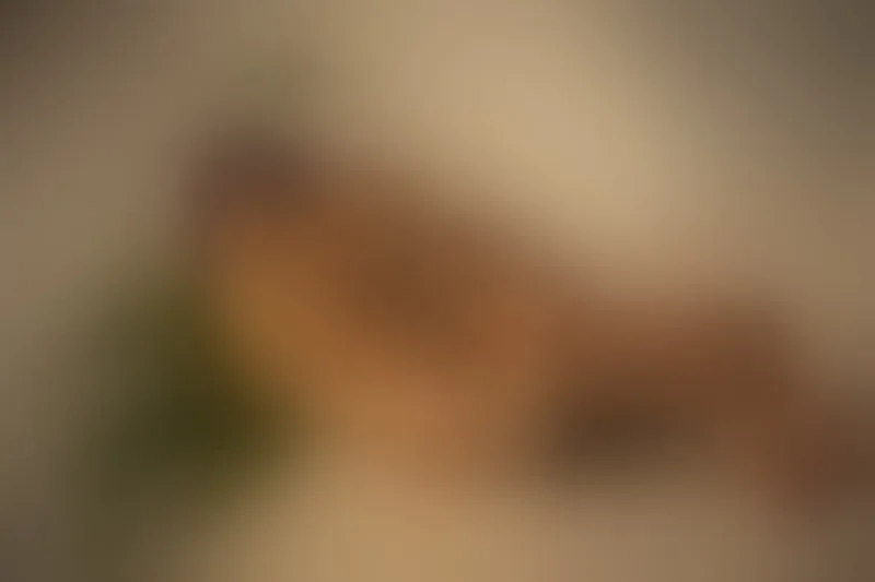 Live sex webcam photo for SaritaaCruz #6175795