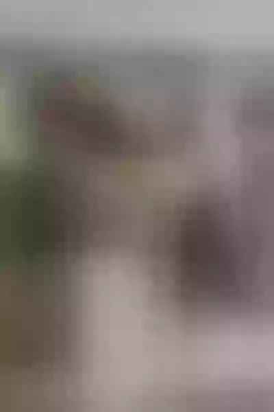 Live sex webcam photo for LaraaRosse #6100835