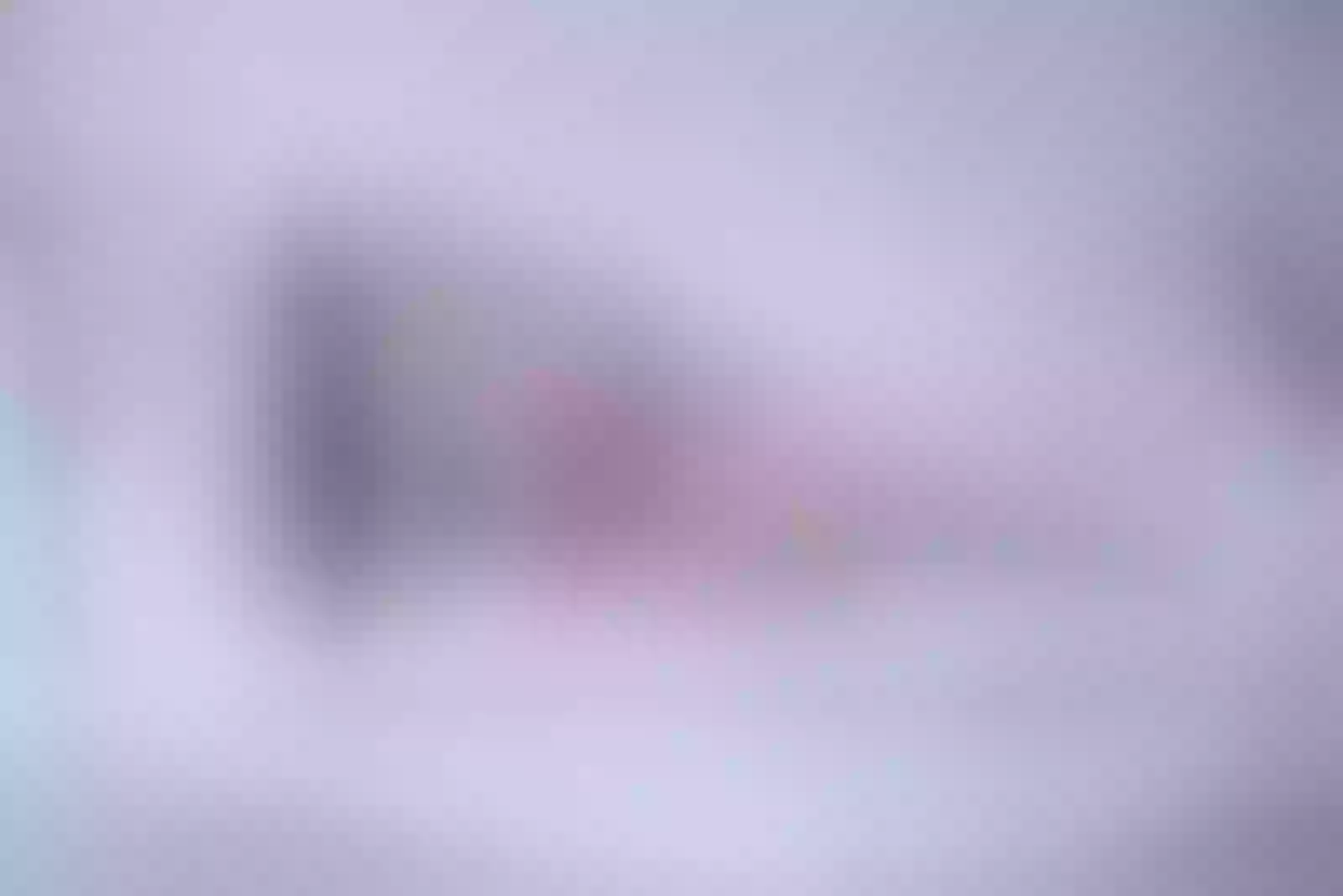 Live sex webcam photo for SophySpencer #7452815