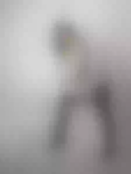 Live sex webcam photo for NinnaClark #6109047