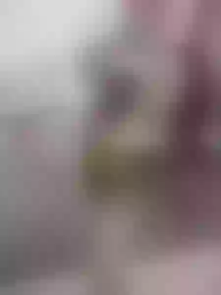 Live sex webcam photo for BrandyLopez #6209739
