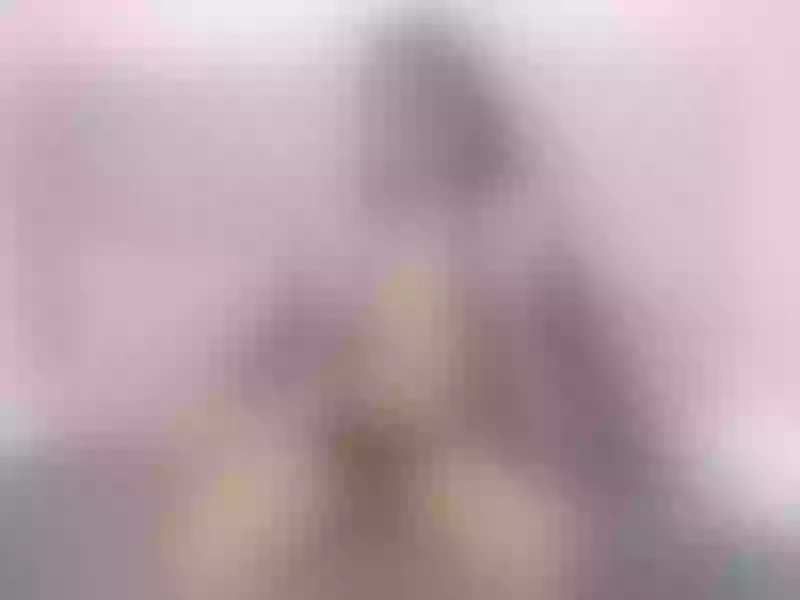 Live sex webcam photo for BrandyLopez #6029509