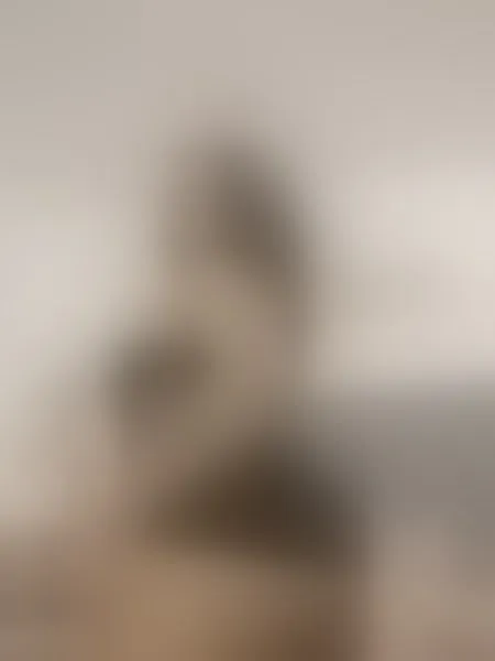 Live sex webcam photo for BrandyLopez #6272490