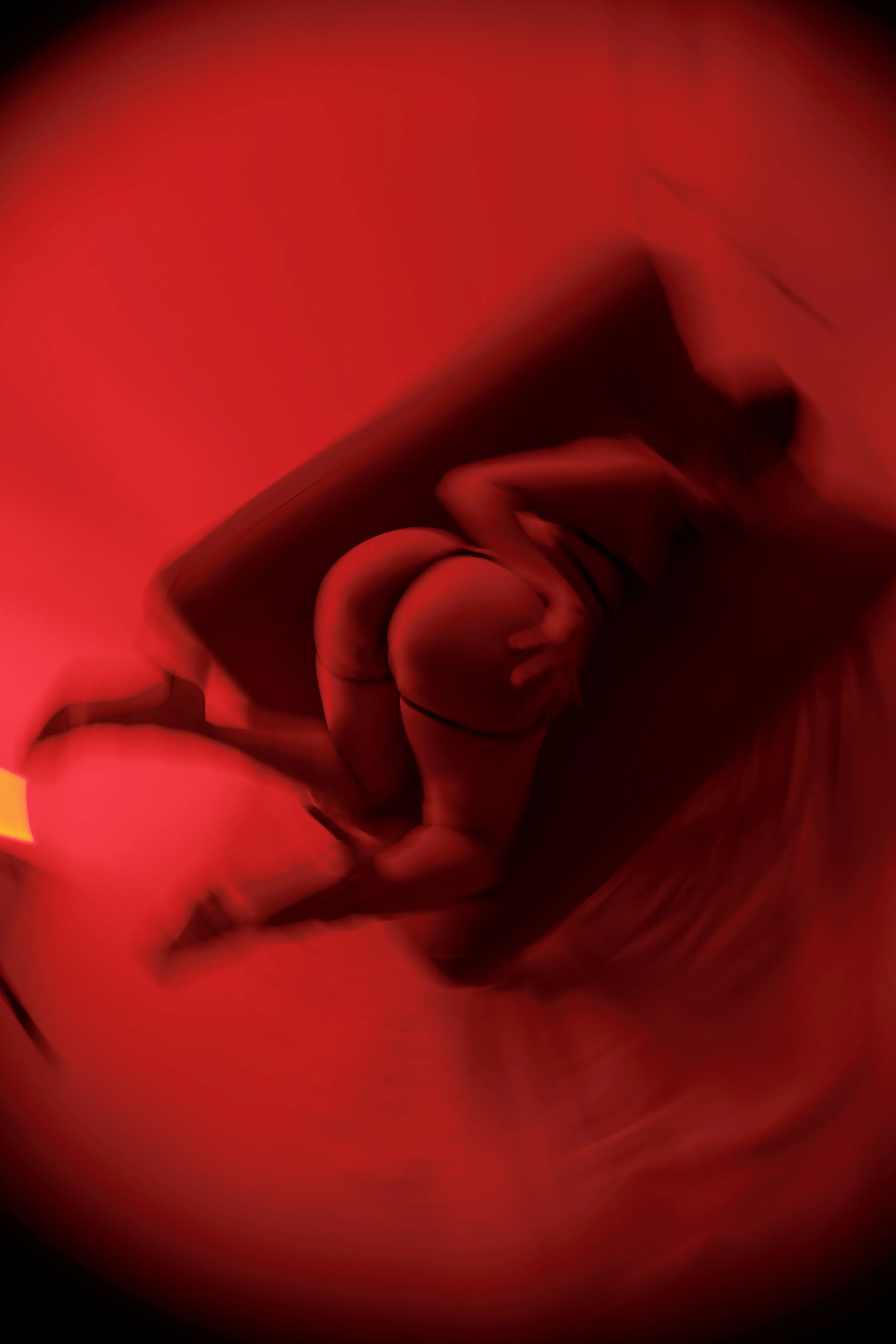 Live sex webcam photo for Bahianabelly #7922990