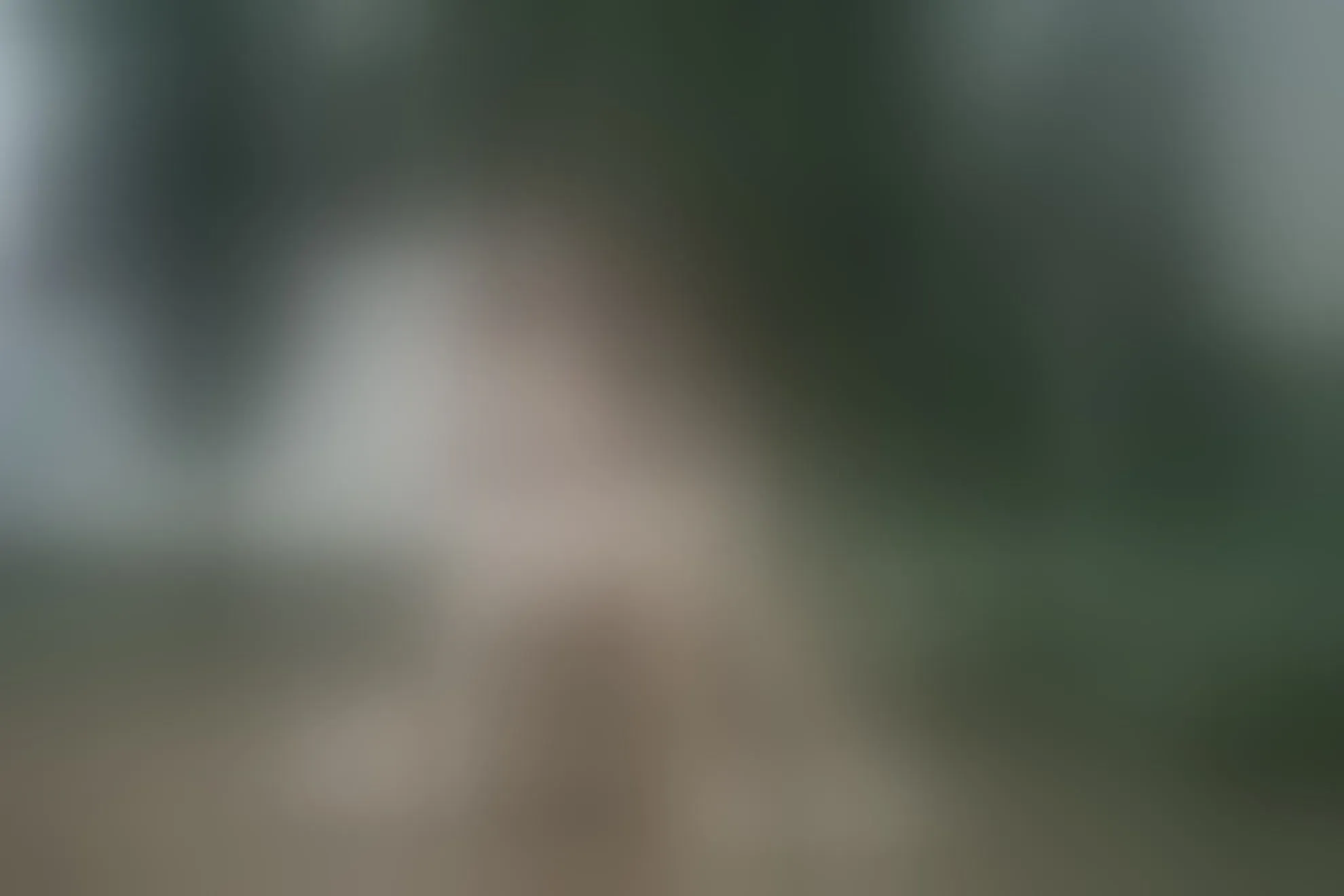 Live sex webcam photo for MelaniIeRioss #8449467