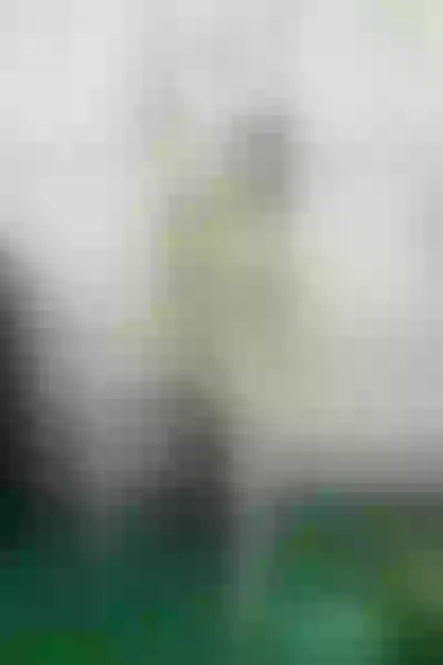 Live sex webcam photo for SofiPerez63 #7141250