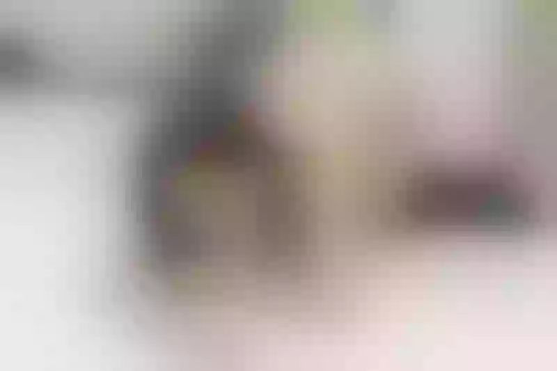 Live sex webcam photo for MeryRosses #7899479