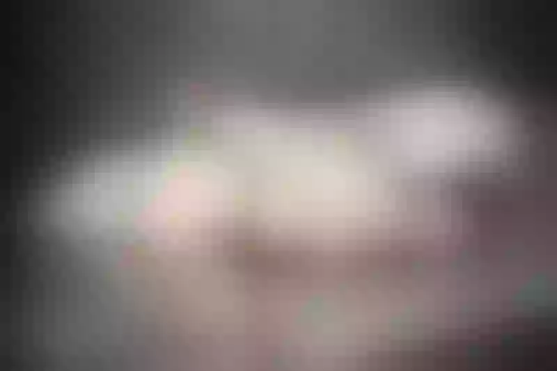 Live sex webcam photo for MaraJane #6010123
