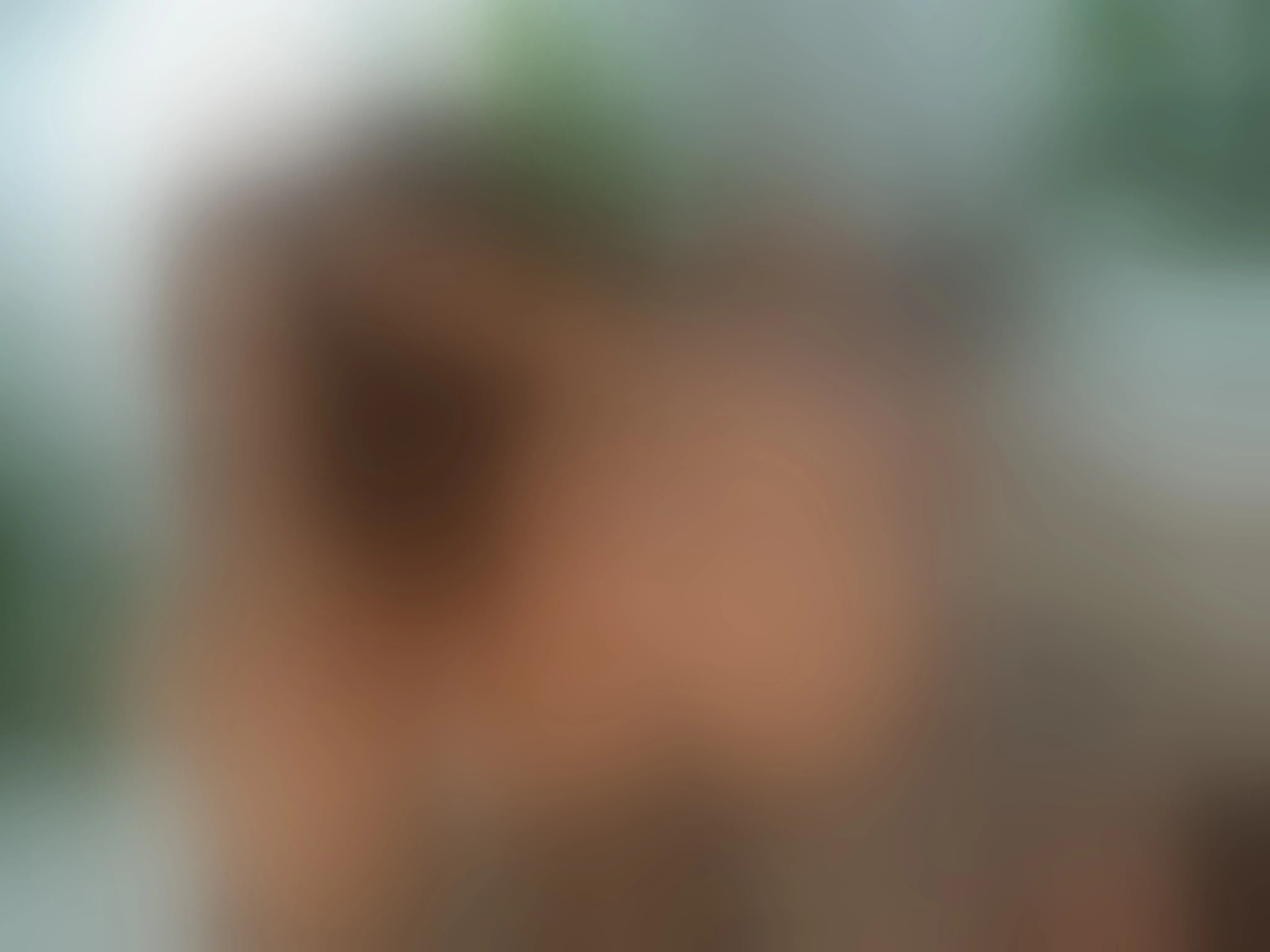 Live sex webcam photo for AvaReedX #8437620