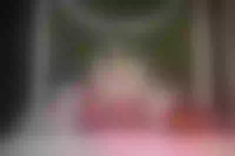 Live sex webcam photo for CristalBenet #6905081