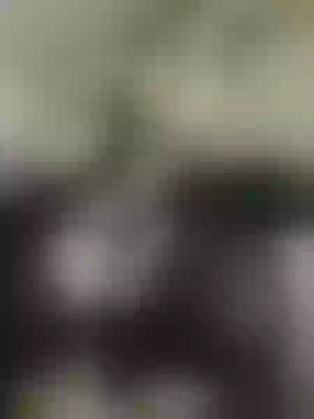 Live sex webcam photo for CristalBenet #6987079