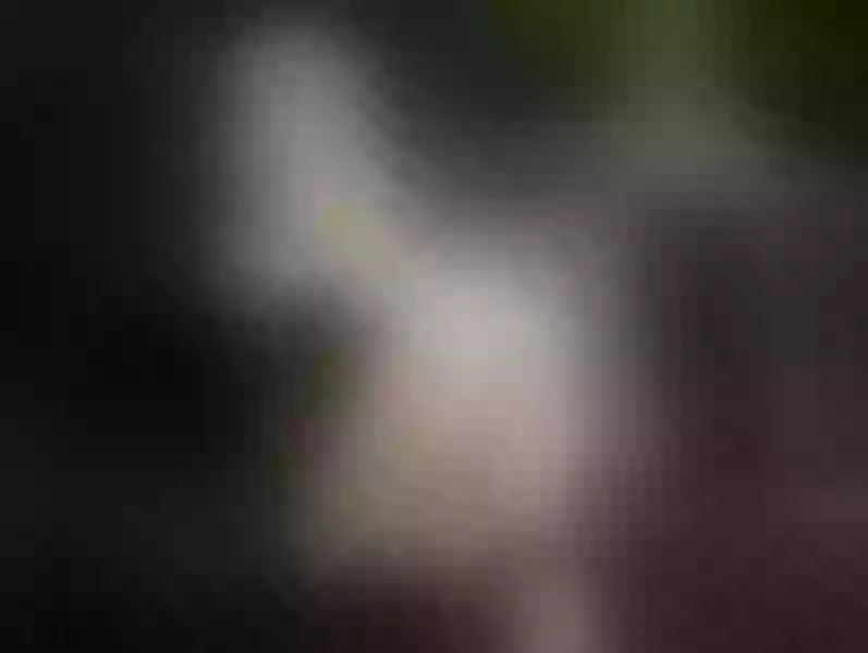 Live sex webcam photo for AnnieJuless #7853785