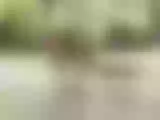 Live sex webcam photo for AlanaRiveraa #6204673