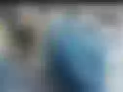 Live sex webcam photo for Antonela_Foster #6884705