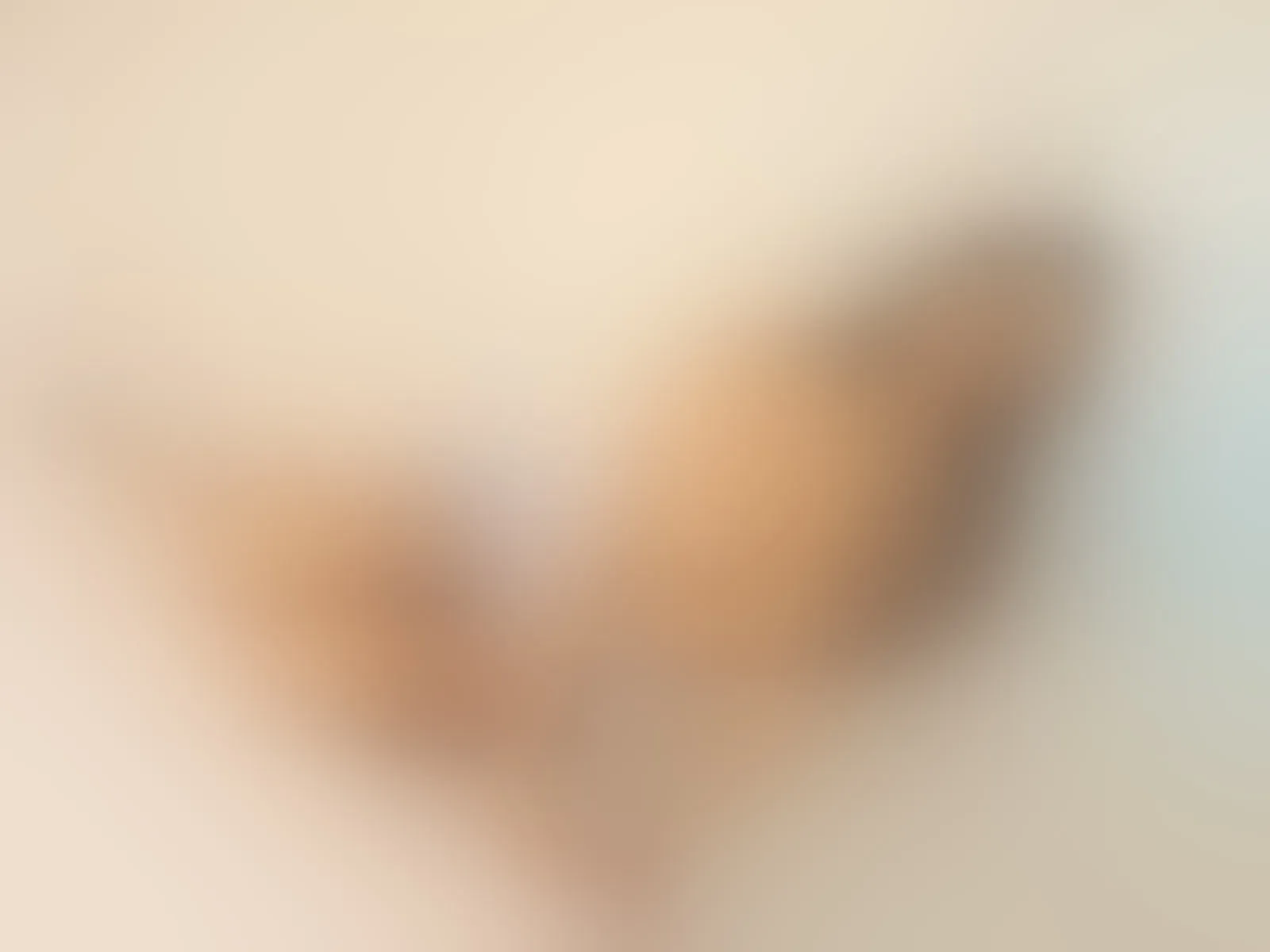 Live sex webcam photo for JulieBennet #7373171