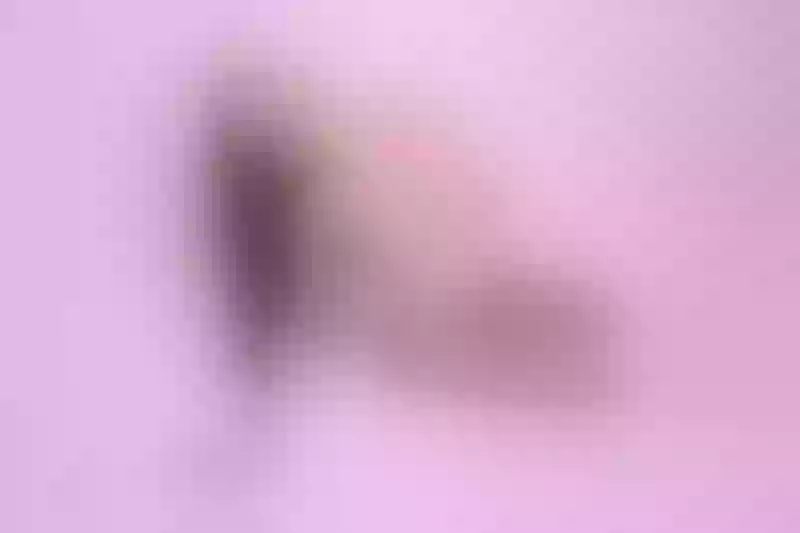 Live sex webcam photo for AnniThompson #6177741